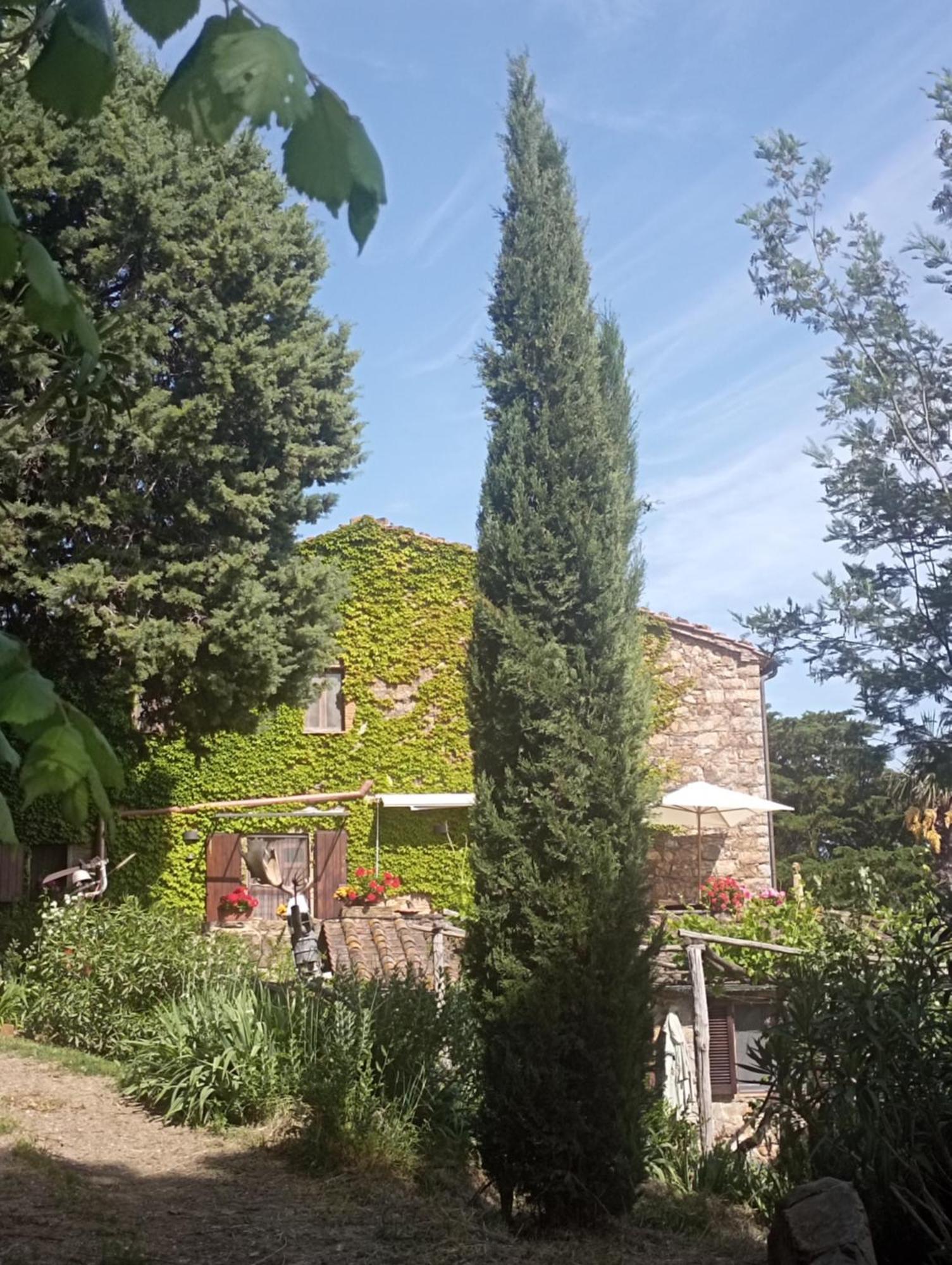Casa Marju Guest House Montemassi Exterior photo