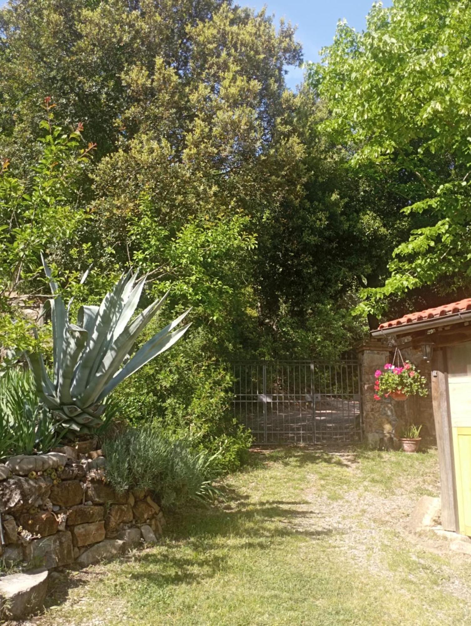 Casa Marju Guest House Montemassi Exterior photo