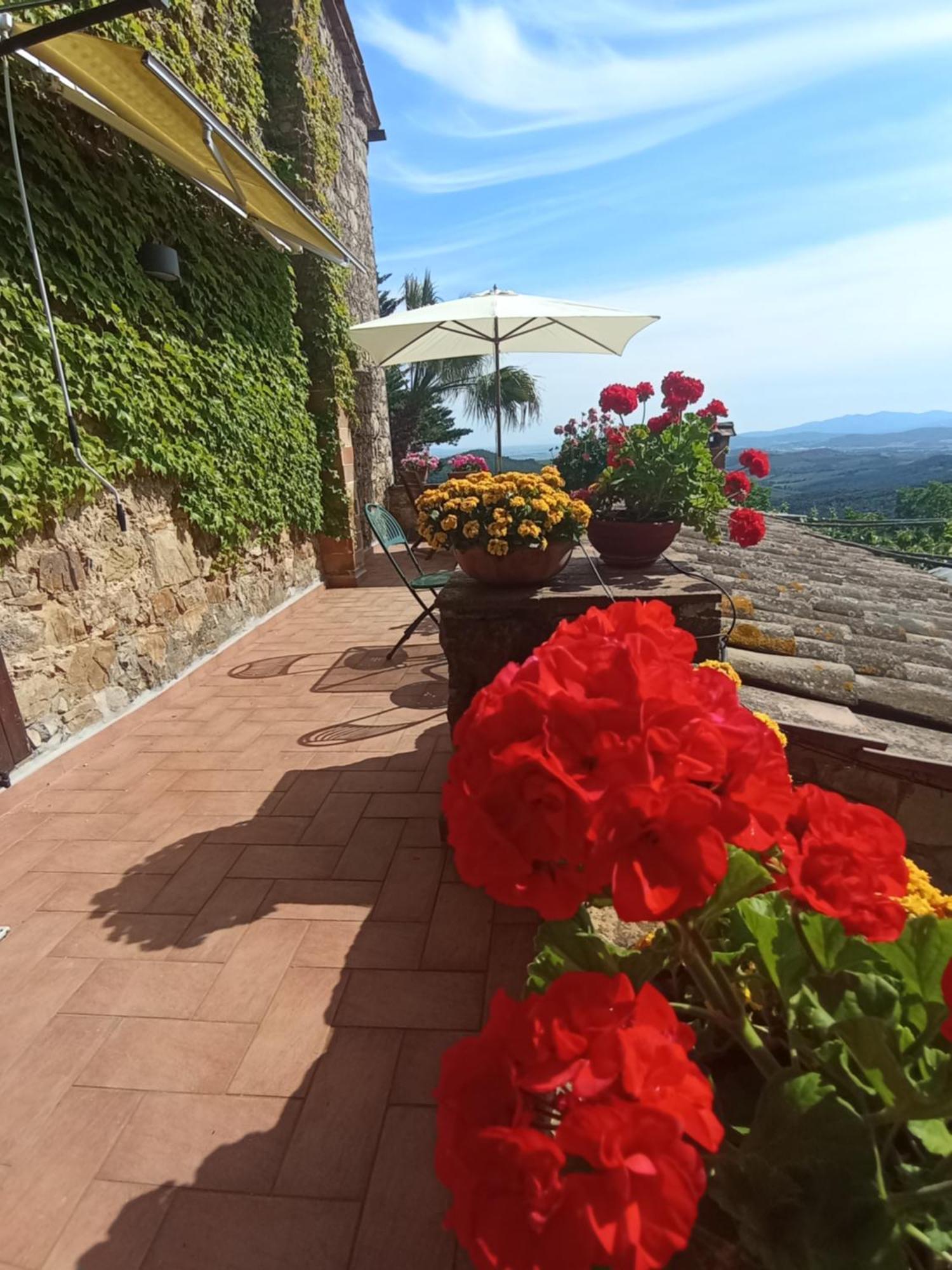 Casa Marju Guest House Montemassi Exterior photo